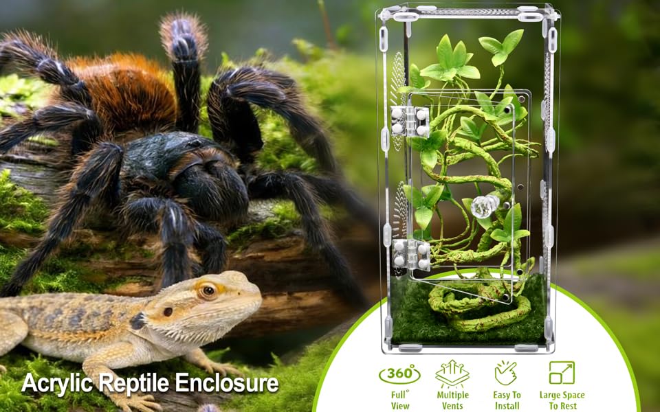 Large Jumping Spider Enclosure, Tarantula Enclosure with Front Opening Door, Spider Enclosure for mantises, Lizards, Frogs and Insects. (6x6x12 Inch, Assemble)