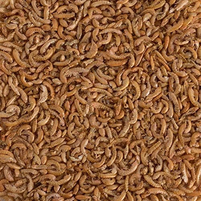 Tetra ReptoMin Select-A-Food for Aquatic Turtles & Amphibians | Includes Tetra ReptoMin Staple Diet, Tetra BabyShrimp Treats & Mini Krill Treats, Provides Variety To Support Overall Health - size: 1.55 Ounce (Pack of 1)