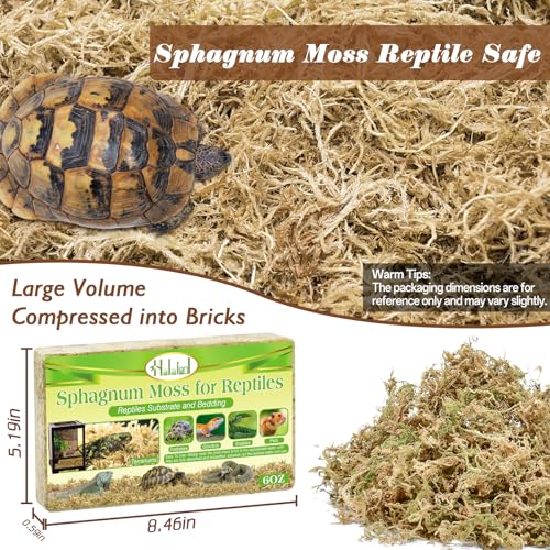 Sphagnum Moss for Reptiles, 6 oz Natural Terrarium Bedding Substrat | Long-fibered Sphagnum Moss for Reptile, Holds Humidity for Bearded Dragons, Geckos, Snakes, Turtles, and Hermit Crabs - size: 6 OZ