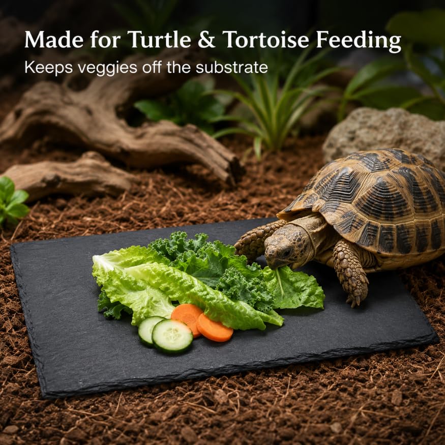 Extra Large Natural Slate Reptile Basking Platform, 15.7 x 7.9 in Rock Feeding Plate for Tortoise, Turtle & Bearded Dragon, Textured Food Dish for Natural Claw Filing, Reptile Habitat Decor