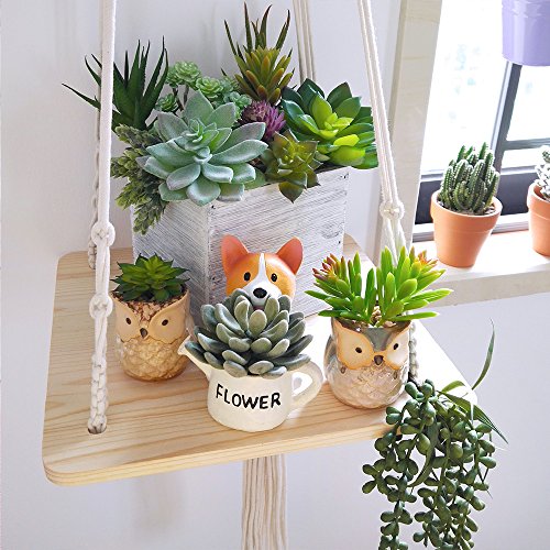 Winlyn 6 Pcs Unpotted Fake Succulents Assorted Faux Succulent in Different Green Artificial Hanging Succulents Textured Faux Succulent Pick Hanging String of Pearls Plant for Wedding Centerpieces