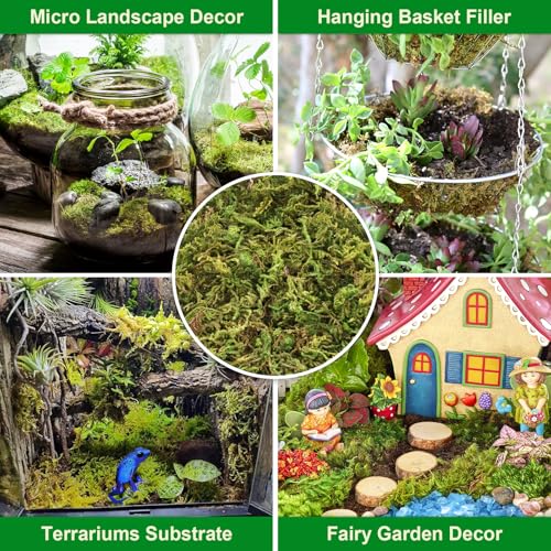 7OZ Sphagnum Moss for Plants, 10QT Natural Long Fiber Orchid Moss | Drainage & Moisture Retention, Green Plant Moss for Orchid Repotting, Carnivorous, Succulents, Reptile Bedding & Terrariums - size: 7OZ