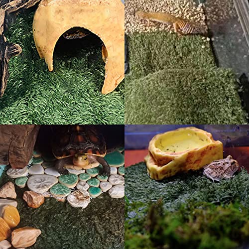 kathson 2 PCS Reptile Carpet Mat Terrarium Bedding Substrate Liner Mat Imitation Rainforest Crawler Mats for Snakes Bearded Dragon Gecko Chameleon Turtles Iguana（23.62 X 15.74 in） - color: 2PCS（XL）：23.62 X 15.74 in