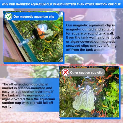 Magnetic Aquarium Veggie Clip Plant Feeding nori Seaweed Clip for Saltwater Fish Aquarium Magnet Lettuce Food clamp Fish Accessories—Patented Product (2pcs Magnetic Veggie Clip) - size: 2pcs magnetic veggie clip