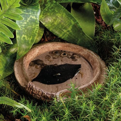 Exo Terra Cocount Cave, Reptile Terrarium Hideout