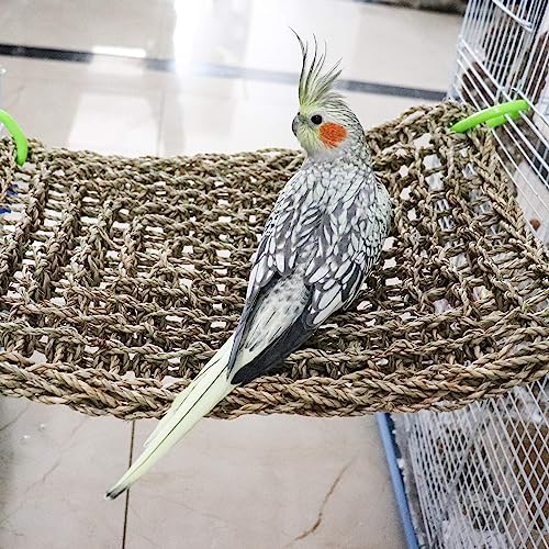 16 x 12 Inches Bird Seagrass Mat, Natural Seagrass Woven Net, Bird Hammock Mat with Hooks, Bird Cage Accessories, Climbing Rope Ladder Chew Toys for Cockatiel Hamster Guinea Pig Rats Hamster Parakeet - size: 16 x 12 Inches