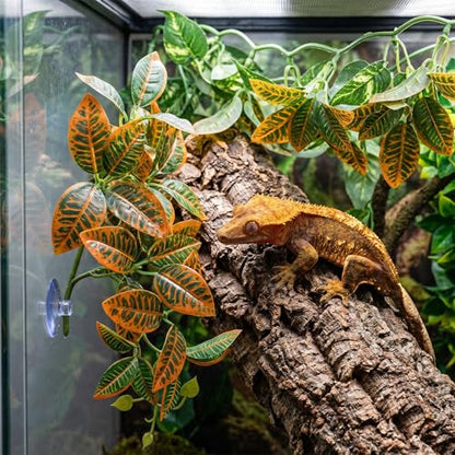 2 Pcs Reptile Plants Amphibian Habitat Decor Artificial Hanging Plants with Suction Cups Artificial Leaves for Terrarium Decor for Frogs Lizards Snake Bearded Dragons Geckos