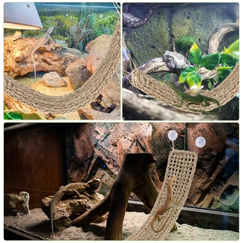 2 Pcs Bearded Dragon Hammock Reptile Lounger, Natural Seagrass Climbing Habitat Decor with Jungle Theme for Lizards, Geckos, Snakes, Iguanas, Amphibians and Terrarium