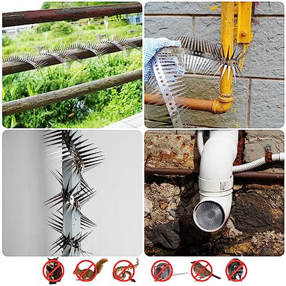 Bird Spikes - 120 Inch Stainless Steel Fence Spikes for Pigeons, Raccoons, Snakes - Deterrent Defender | 120 inch stainless steel bird spikes - size: 120 inch