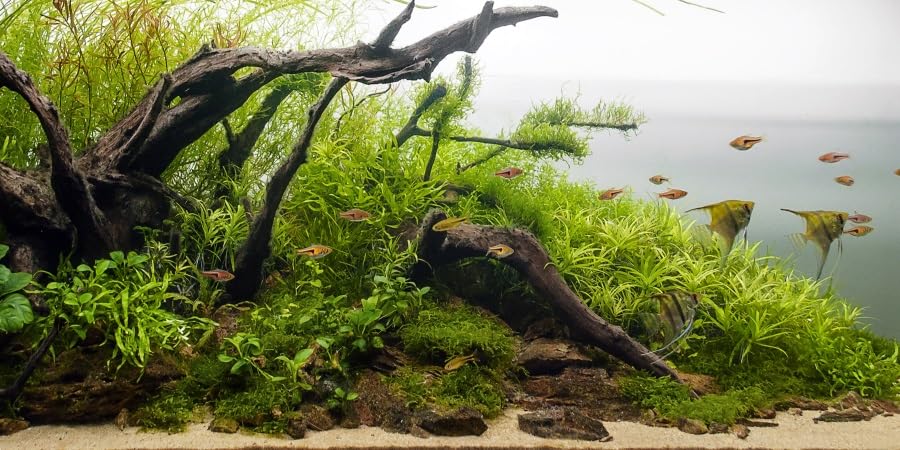YongFoto Fish Tank Background 30x12 inch Aquarium Background River Bed Waterweeds Moss Lake Aquatic Plant Undersea Tree Branch Backdrop Reptile Habitat Terrarium Background, Green-6 - color: Green-6, size: 30x12in/75x30cm