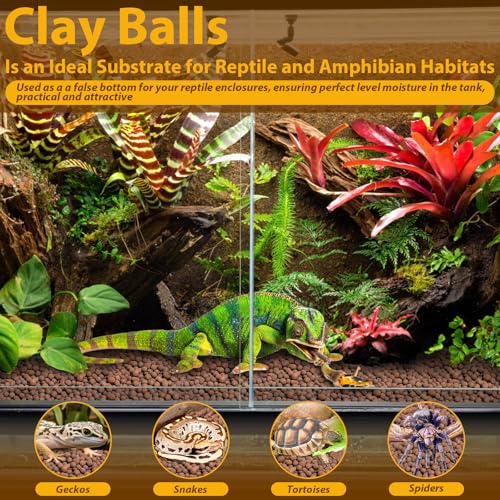 2 LB Organic Expanded Clay Balls Terrarium Substrate for Reptiles | Drainage & Humidity Control, Reusable Leca Balls for Bioactive Setups, Reptile Enclosures, Hydroponics, Aquaponics & Plants - color: 2LBS