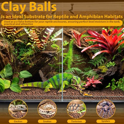 2 LB Organic Expanded Clay Balls Terrarium Substrate for Reptiles | Drainage & Humidity Control, Reusable Leca Balls for Bioactive Setups, Reptile Enclosures, Hydroponics, Aquaponics & Plants - color: 2LBS