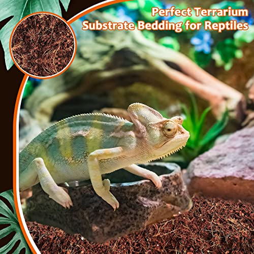 Riare 2 Pack Natural Coconut Fiber Substrate for Reptile- Premium Compressed Coconut Husk Terrarium Bedding for Reptile, Tortoise, Frogs, Snakes Hermit Crabs, Burrowing Animals - color: 2 Pack