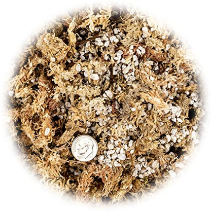 Sphagnum Moss Potting Mix for Carnivorous Plants, Moss and Perlite Blend for Potting Venus Fly Traps, Sarracenia, Pitcher Plants - 75% Sphagnum Moss + 25% Perlite - Made in USA - 4 Quart - size: 4 Quart Bag, style: Carnivorous Plant Soilless Mix