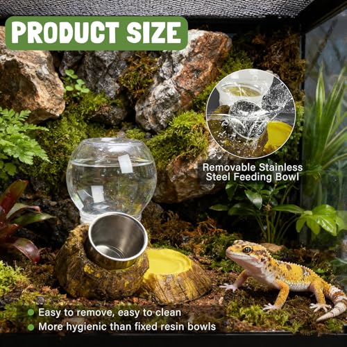 Reptile Water Dish Reptile Drinking Feeding Dish | Snake Food and Water Bowl for Turtle Tortoise Bearded Dragon Snake Lizard Chameleon Leopard Gecko Terrarium Enclosure
