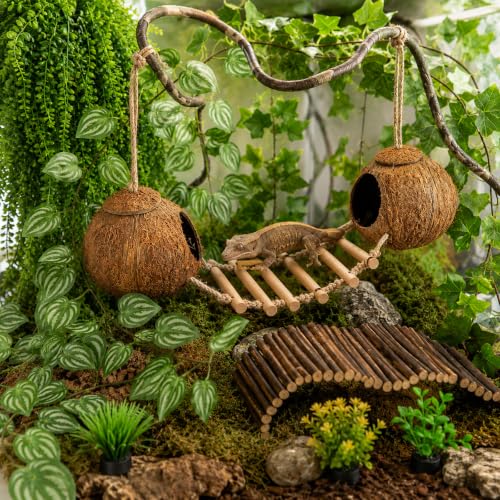 RUNANIA Crested Gecko Tank Accessories, Reptile Hanging Plants Vines with Natural Double Coconut Hideout & Climbing Ladder Decor for Hermit Crab Lizard Leopard Gecko Chameleon Snake Terrarium Decor