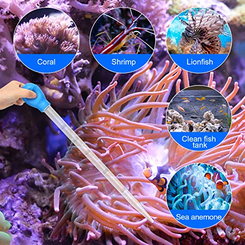 2 Pieces Aquarium Coral Feeder with 2 Pieces Stainless Steel Straight and Curved Feeding Long Tweezers, Acrylic Coral Spot Feeder Long Tube Reptile Feeding Tools for Aquatic Plant Lionfish Marine Fish