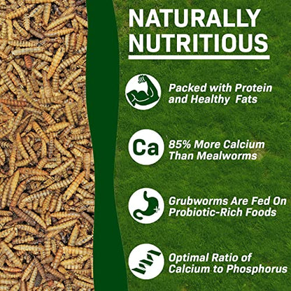 Exotic Nutrition 20 LB Bulk Dried Black Soldier Fly Larvae - High-Calcium Insect Treat - Chickens, Wild Birds, Bluebirds - size: 20 Pound (Pack of 1)