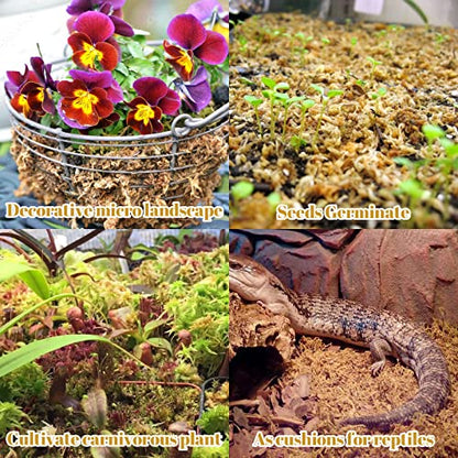 2.2LB Sphagnum Moss for Plants- 40QT Natural Long Fibers Orchid Moss | Moisture Retention & Drainage Balance, Plant Moss for Orchids, Succulents, Carnivorous, Ferns, Reptile Bedding & Terrariums - size: 40 QT(2.2 lb)