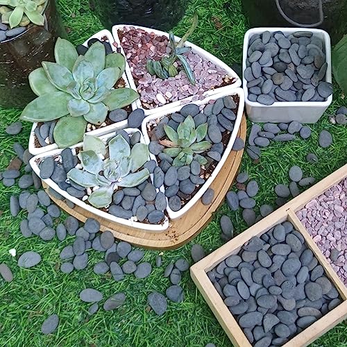 2.4lb River Rocks Pebbles for Plants & Succulents, Decorative Outdoor Landscaping & Aquarium Garden Rocks - size: 2.4LB, style: Small
