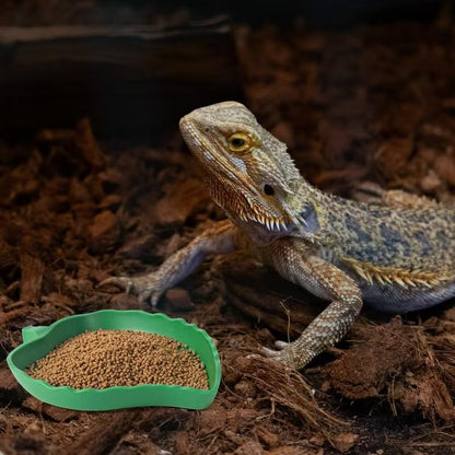 4Pack Terrarium Bowls Turtle Feeding Dishes Shallow and Flat Reptile Food and Water Feeder for Tortoise,Bearded Dragon,Lizards,Gecko,Cute Leaf and Mango Shaped