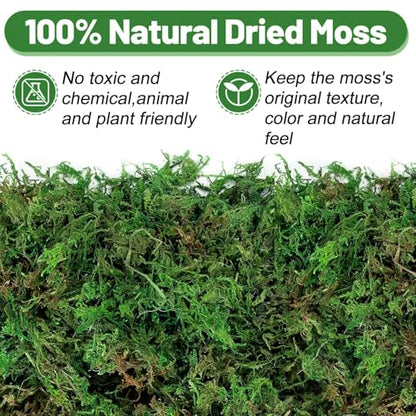 10oz Natural Green Moss for Plants Indoor - Dried Forest Real Moss for Crafts, Artificial Fairy Gardens, Mosswall, Glass Terrariums, Floral Design, Home Decor - style: 10oz