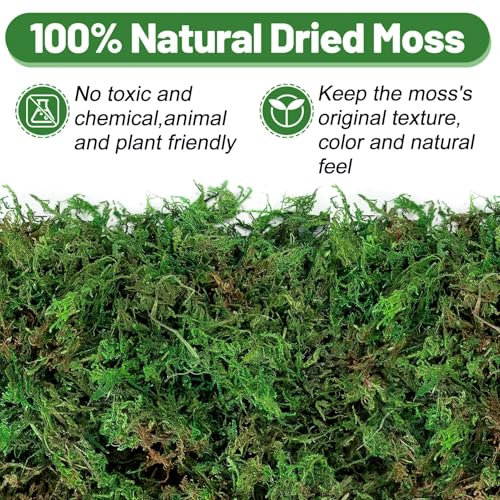 17oz Large Pack Natural Green Moss for Plants Indoor - Dried Forest Real Moss for Crafts, Artificial Fairy Gardens, Mosswall, Glass Terrariums, Floral Design, Home Decor - style: 17oz