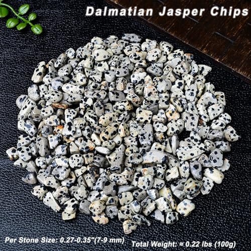 Erliway 7-9mm Dalmatian Jasper Healing Crystal Chips for Crafts, 100g | Natural Crushed Crystal Stones Tumbled Chips for Vase Filler Aquarium Gravel, Meditation Chakra Balancing, Candle DIY Making - color: Dalmatian Jasper