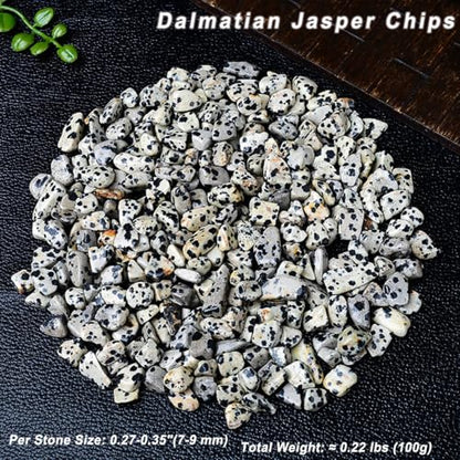 Erliway 7-9mm Dalmatian Jasper Healing Crystal Chips for Crafts, 100g | Natural Crushed Crystal Stones Tumbled Chips for Vase Filler Aquarium Gravel, Meditation Chakra Balancing, Candle DIY Making - color: Dalmatian Jasper