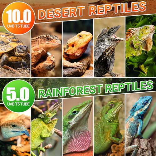 REPTI ZOO UVB Reptile Light, New Version T5 HO UVB Lighting Combo Kit, Reptile Terrarium Hood with 10.0 UVB Tube Bulb, Reptile Light Fixture 24W-22Inch - size: 24W-22Inch