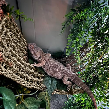 2 Pieces Bearded Dragon Hammock Large, 30" x 7" Reptile Hammock | Lizard Hammock, Climbing Habitat Tank Accessories, Reptile Bridge, For Chameleon Hermit Gecko Snakes - style: 2Pcs Rectangle