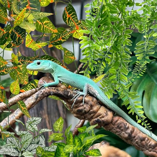 Hamiledyi Reptile Plants for Terrarium Hanging Fake Leaves with Suction Cup | 5 Pack Artificial Snake Foliage, Bearded Dragon Tank Greenery Reptile & Amphibian Habitat Plant for Chameleon Gecko (Style 3) - size: 5 PCS - Style 3