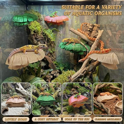 Mushroom Reptile Ledge| Tree Frog Terrarium Tank Accessories, Crested Gecko Tank Accessories, Frog Habitats, Fish Tank Decor| Terrarium Plants Decor from Daughter| 4 Suction Cups