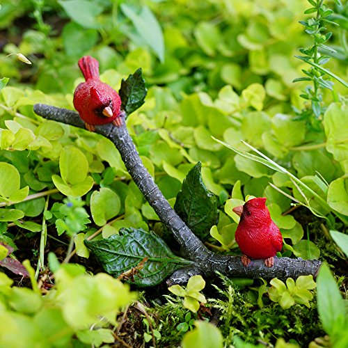 Top Collection 4401 Miniature Fairy Garden & Terrarium Little Cardinals on Branch Decor, Small