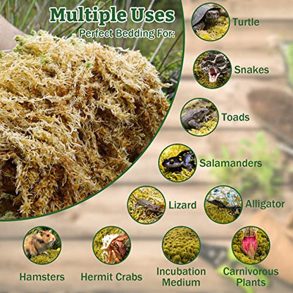 Riare 5.3oz Natural Sphagnum Moss for Reptiles- Terrarium Reptiles Moss | 6QT High Expansion, Moisture Retention, Long Fiber Dried Moss Bedding for Lepard Gecko Snakes Turtles Frogs Spiders - color: 5.3OZ