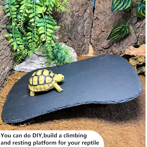 Reptile Basking Platform 13.5''x8.0'' Turtle Rock Slate Feeding Bowl Food Dish Feed Plate Tortoise Bathing Resting Slab for Lizard Gecko Bearded Dragon Chameleon Snake Frog - size: 13.5''x8.0''(1PCS)