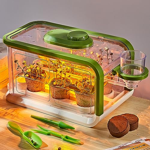 Kids Plant Growing Kit, Kids Gardening Greenhouse Growing Kit with Drip Irrigation and Grow Lights, Science STEM Toys Terrarium Kit for Boys Girls 3 4 5 6 7 8 Year Old,Kids Flower Growing Kit