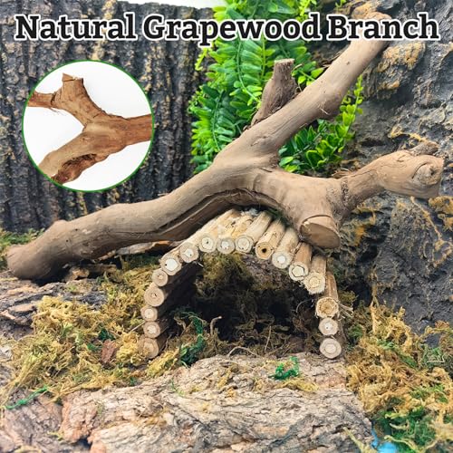 VCEPJH Snake Climbing Branch, 2Pcs Reptile Wood Natural Cork Log Tank Accessories Tree Trunk for Chameleon Bearded Dragon Gecko Snake Frog Spider - size: Grape Wood (L:13.7"-15.7"-2pcs)