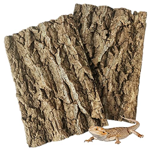 Fhiny 2 PCS Cork Bark Background, 11.6" x 7.7" Natural Reptile Terrarium Backdrop, Reptile Climbing Wall Decor for Bearded Dragon, Gecko, Chameleon, Snake