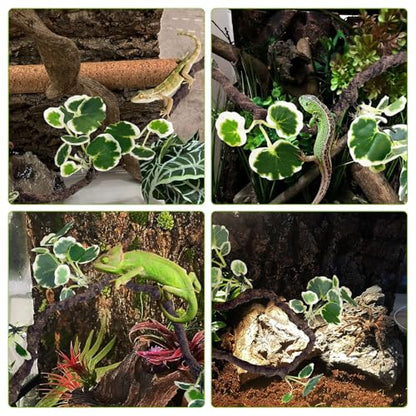 PINVNBY Flexible Bend-A-Branch Climbing Reptile Jungle Vines Snake Climbing Branch for Terrarium Plants Crested Gecko Tank Accessories for Leopard Gecko Lizard Chameleon Frog (Green)