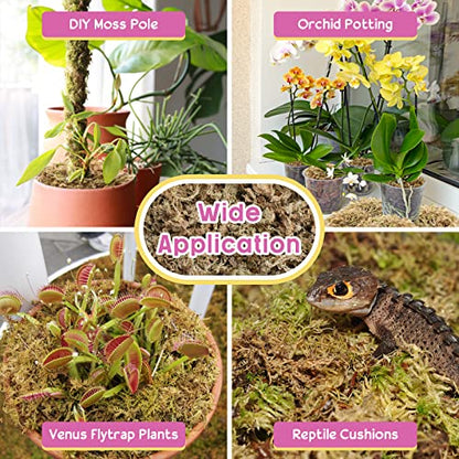 14OZ Sphagnum Moss for Plants - 16QT Natural Long Fibers Orchid Moss | Moisture Retention & Drainage Balance, Plant Moss for Orchids, Succulents, Carnivorous, Ferns, Reptile Bedding & Terrariums - size: 16 QT(14 oz)
