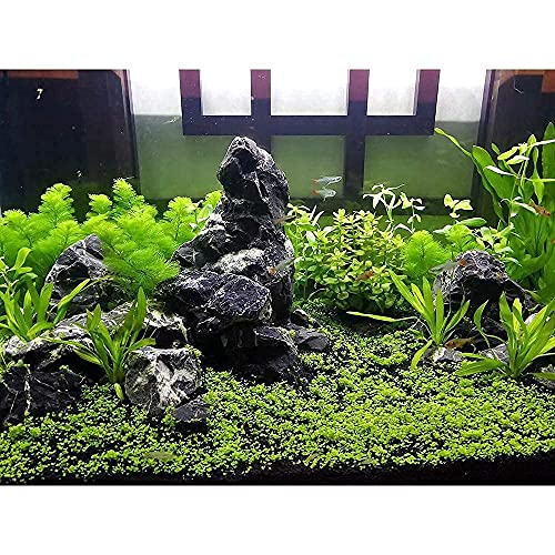 Tonwa Slate Stone Natural Aquascaping Rock 17lb Planted Tank | Layered slate texture; iwagumi and reptile terrarium - size: 02 Tonwa Stones(2-8inch,17lbs)