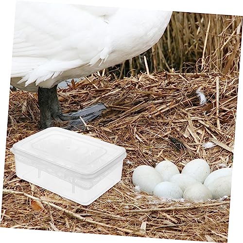 VOSAREA 2pcs Cavity Reptile Egg Incubation Tray for Tortoise and Lizard Hatching Breeding Box for Easy Observation of Egg Development