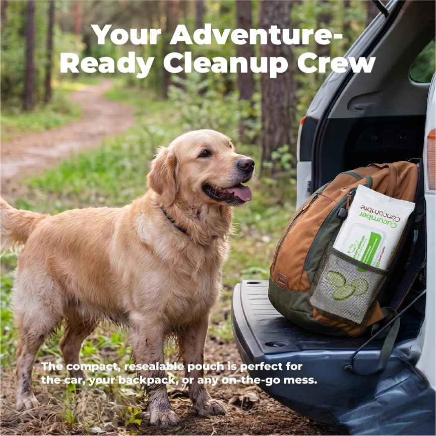 Best Pet Supplies Cleaning Dog Wipes - Calming Lavender, 100 Count | Scented, Large 8x9", Vitamin E, Puppy & Cat Safe, Gentle Grooming, Resealable Pouch Prevents Drying - color: Calming Lavender, size: 100 Count