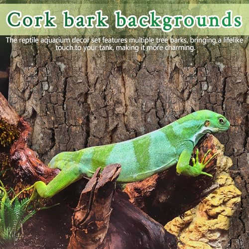 4Pcs Reptile Cork Bark Tank Decor Natural Terrarium Background for Gecko Lizard Bearded Climbing Habitat 5.90X5.90X0.78In