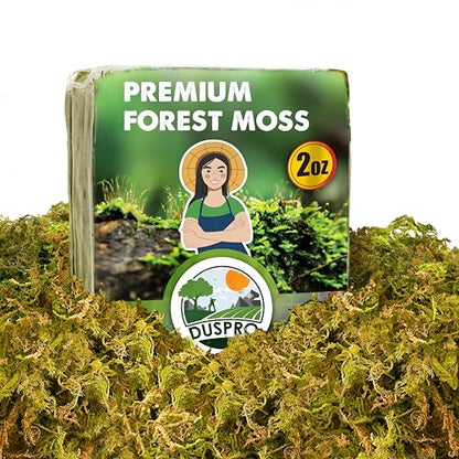 2 Oz Real Dried Forest Moss for Potted Plants, Plant Propagation | Hand-Picked & Clean, Easy to Rehydrate, Balanced Moisture, Forest Orchid Moss for Potting Mix,Moss Soil Cover for Houseplants - size: 2 Oz