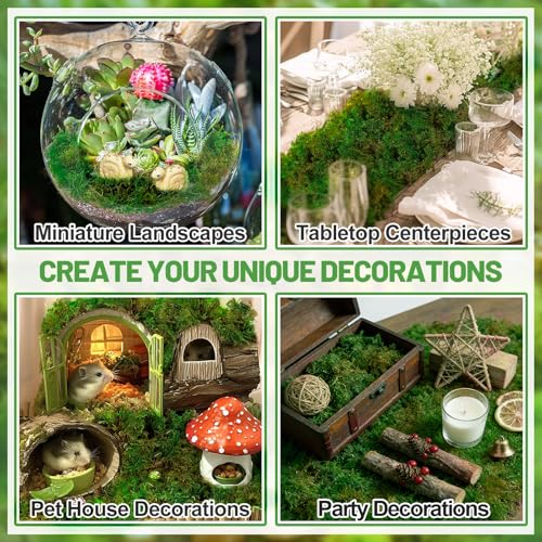 10oz Natural Green Moss for Plants Indoor - Dried Forest Real Moss for Crafts, Artificial Fairy Gardens, Mosswall, Glass Terrariums, Floral Design, Home Decor - style: 10oz