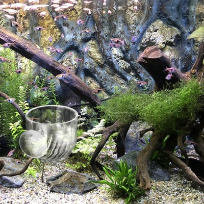2Pcs Fish Tank Plant Holder Aquarium Plant Pot Suction Cup Planters | Water Plant Holder for Aquarium Suction Pot Clear Acrylic Aquatic Planter Aquarium Plants Cup for Fish Tank Decorations
