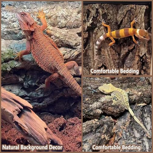 Tfwadmx 2PCS Thickened Cork Terrarium Bark Background, 11.8"x11.8" Natural Cork Bark for Reptiles Bearded Dragon Climbing Mat Reptile Climbing Wall Terrarium Background Decor for Lizard Gecko Snake - size: 2Pcs 11.81*11.81inch
