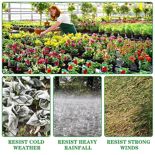 Greenhouse Film 13 x 26 Ft Greenhouse Plastic Plant Covers Freeze Protection UV Resistant PE Clear Film for Plants Dust Proof Resist Cold Weather Heavy Rainfall Strong Winds